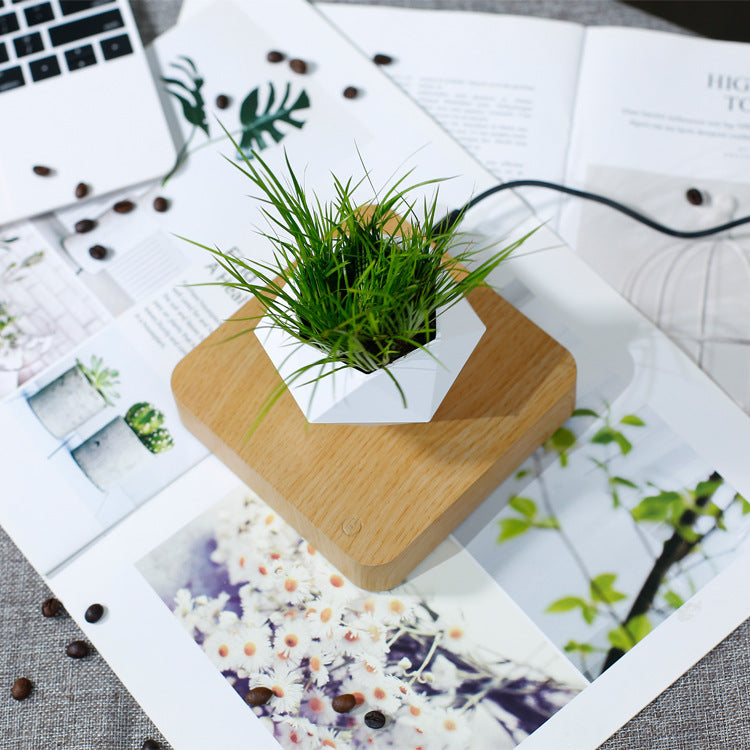 Magnetic Levitation Plant Pot